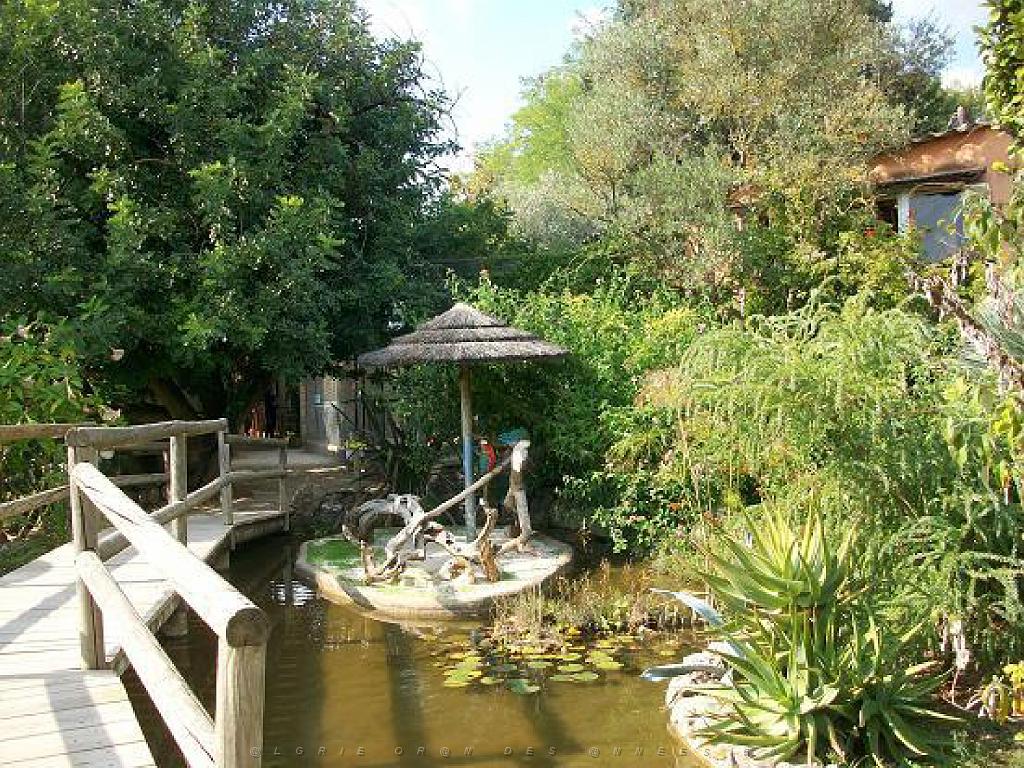 183 D21 SANARY SUR MER 1_000015.jpg